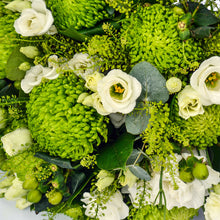 Load image into Gallery viewer, Green Dream