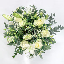 Load image into Gallery viewer, Classic Whites