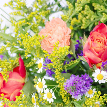 Load image into Gallery viewer, Hill Country Blush