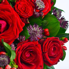 Load image into Gallery viewer, Red Blush