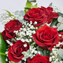 Load image into Gallery viewer, Fly me to the Moon