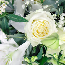Load image into Gallery viewer, Classic Whites
