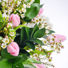 Load image into Gallery viewer, Belles Tulipes
